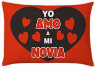  Cojin Amo a Mi Novia 